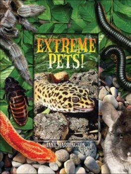 Spiral-bound Extreme Pets Book