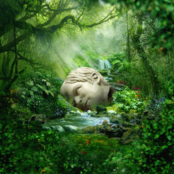 Vinyl Sznz: Spring Book