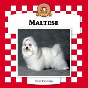 Maltese (Dogs Set VI) - Book  of the Dogs