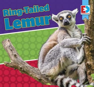 Ring-Tailed Lemur