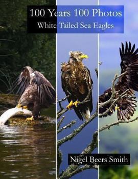 Paperback 100 Years 100 Photos White Tailed Sea Eagles Book