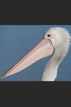 Pelikan: Notizbuch / Tagebuch toller Vogel - DIN A5 120 Seiten punktiert / Punkteraster - Geschenk Vogelliebhaber (German Edition)