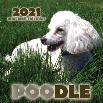 Paperback Poodle 2021 Mini Wall Calendar Book