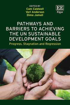 Pathways and Barriers to Achieving the UN Sustainable Development Goals: Progress, Stagnation and Regression