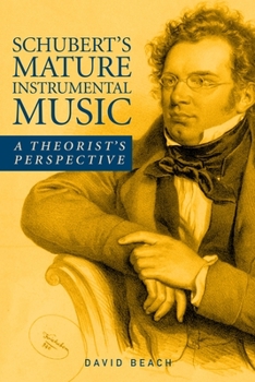 Hardcover Schubert's Mature Instrumental Music: A Theorist's Perspective Book