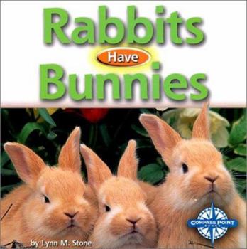 Hardcover Rabbits Have Bunnies Book