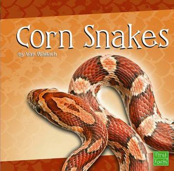 Library Binding Corn Snakes Book