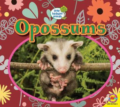 Opossums - Book  of the Little Backyard Animals