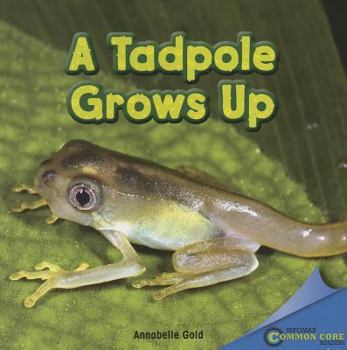 Paperback A Tadpole Grows Up Book