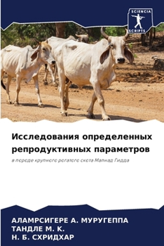 Paperback Исследования определен&# [Russian] Book