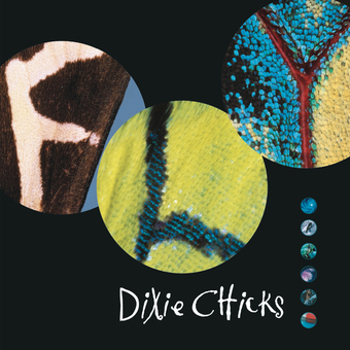 Vinyl Fly Book