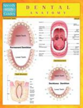 Paperback Dental Anatomy (Speedy Study Guides) Book