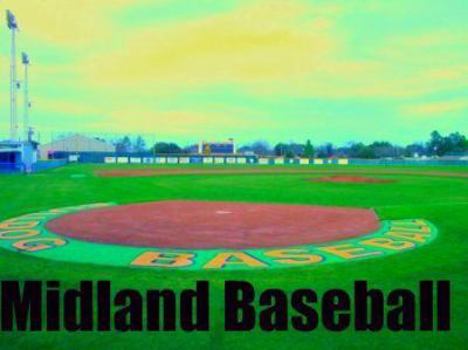 Hardcover Bull Catcher Book