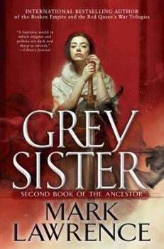 Hardcover Grey Sister Book