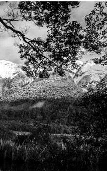 Paperback Notes to myself journal: Notes to myself mirror lake New Zealand Book