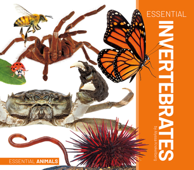 Library Binding Essential Invertebrates Book