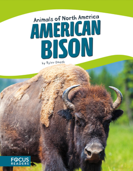 Paperback American Bison Book