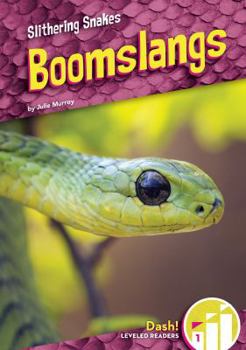 Boomslangs - Book  of the Slithering Snakes