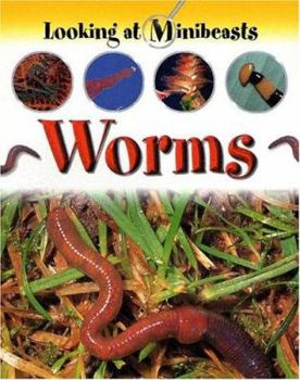 Paperback Worms Book