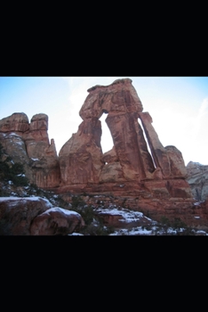 Paperback Magic Unleashed III: Sorceress Princess Book