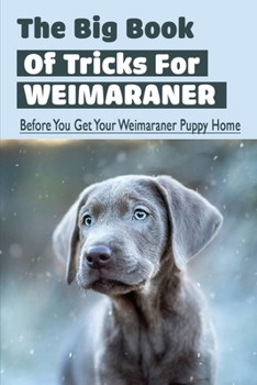 Paperback The Big Book Of Tricks For Weimaraner: Before You Get Your Weimaraner Puppy Home: Puppy Training Preparation For Weimaraner Book