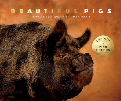 Paperback Beautiful Pigs: Portraits of Champion Breeds Book