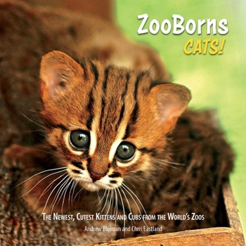 Paperback ZooBorns Cats!: The Newest, Cutest Kittens and Cubs from the World's Zoos Book