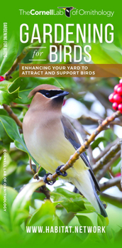 Paperback Gardening for Birds: Enhancing Your Yard to Attract and Support Birds Book