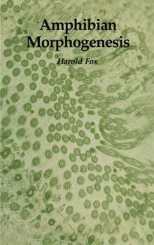 Paperback Amphibian Morphogenesis Book