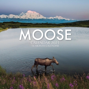 Paperback Moose Calendar 2021: 16 Month Calendar Book