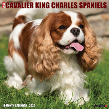Calendar Just Cavalier King Charles Spaniels 2025 12 X 12 Wall Calendar Book