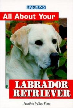 Paperback All about Your Labrador Retriever Book