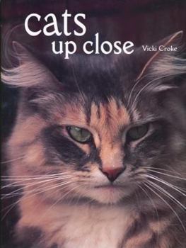 Hardcover Cats Up Close Book