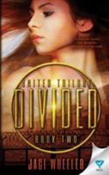 Paperback Divided Book