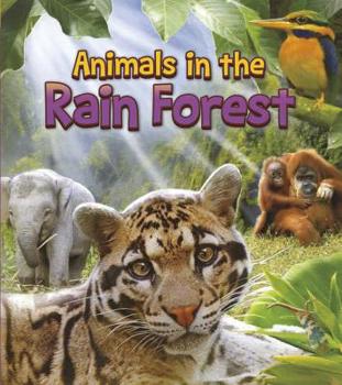 Hardcover Animals in the Rain Forest Book