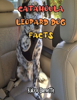 CATAHOULA LEOPARD DOG FACTS: CATAHOULA LEOPARD DOG fact for girl age 1-10 CATAHOULA LEOPARD DOG fact for boy age 1-10 facts about all about CATAHOULA LEOPARD DOG