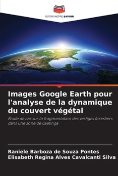 Paperback Images Google Earth pour l'analyse de la dynamique du couvert végétal [French] Book