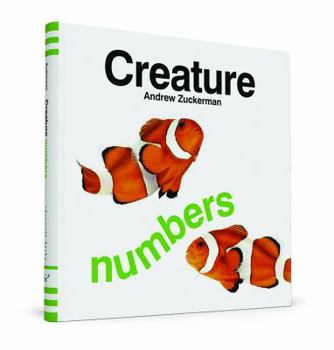 Board book Creature: Numbers Book