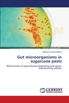 Paperback Gut microorganisms in sugarcane pests Book