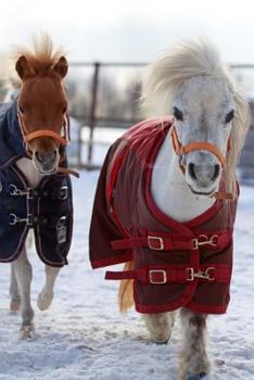 Paperback Miniature Horses in Warm Blankets Winter Journal: 150 Page Lined Notebook/Diary Book