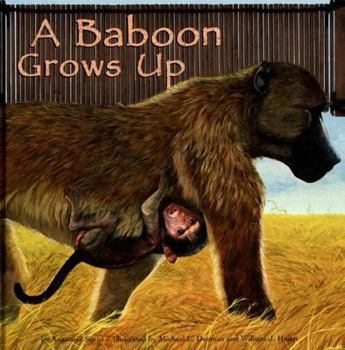 A Baboon Grows Up (Wild Animals) - Book  of the Wild Animals