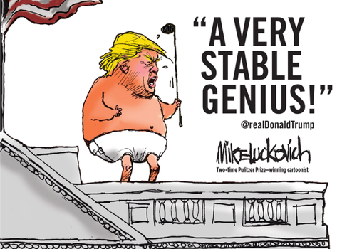 Paperback A Very Stable Genius: @Realdonaldtrump Book