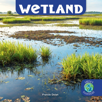 Wetland