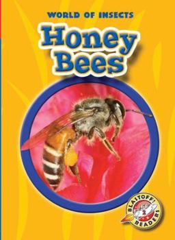 Honey Bees (Blastoff Readers: World of Insects) (Blastoff Readers: World of Insects) - Book  of the World of Insects