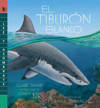 Paperback El tiburón blanco: Lee y asómbrate (Spanish Edition) [Spanish] Book