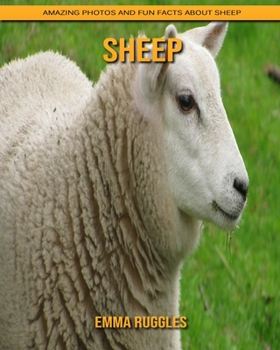 Sheep: Amazing Photos and Fun Facts about Sheep