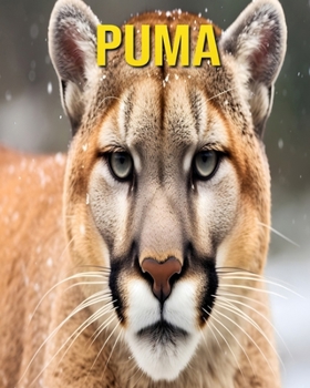 Paperback Puma: Fun and Amazing Pictures About Puma Book