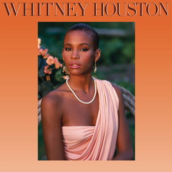 Vinyl Whitney Houston Book
