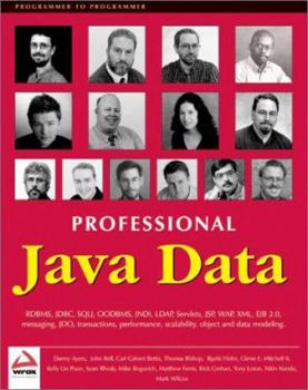 Paperback Professional Java Data Book