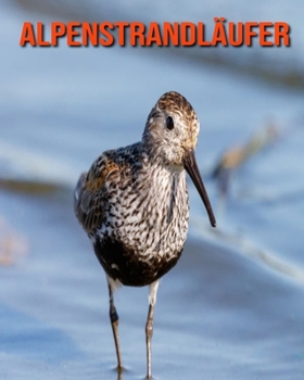 Paperback Alpenstrandl?ufer: Erstaunliche Fakten & Bilder [German] Book